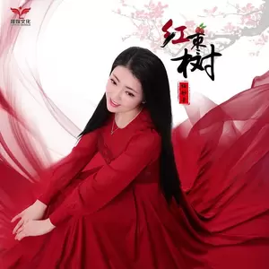 红枣树(DJ何鹏版)