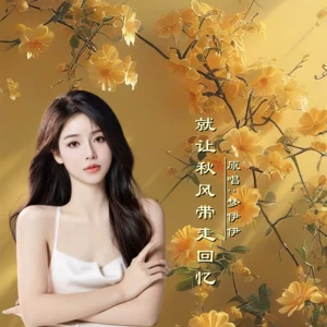 就让秋风带走回忆DJ