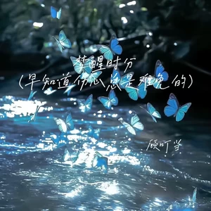 梦醒时分(早知道伤心总是难免的)