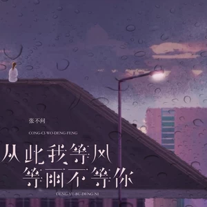从此我等风等雨不等你(DJ豪大大版)