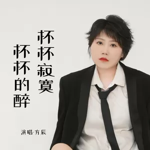 杯杯寂寞杯杯的醉