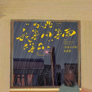 从此我等风等雨不等你(治愈女声版)