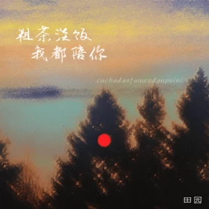 粗茶淡饭我都陪你(DJ版)