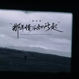 那年情不知所起