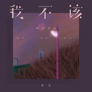 我不该(烟嗓男版)