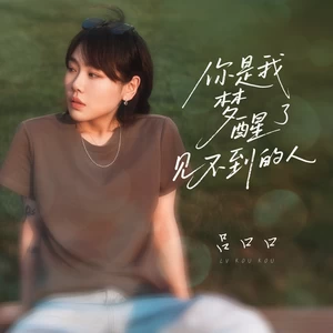 你是我梦醒了见不到的人