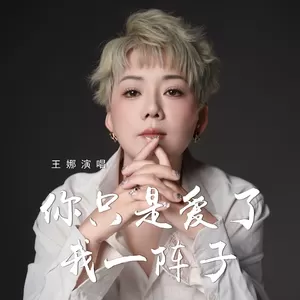 你只是爱了我一阵子