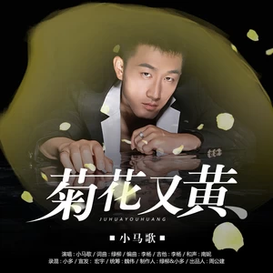 菊花又黄【小马歌】