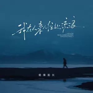 我在人来人往处流浪(烟嗓版)