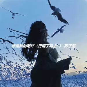 你是我的期许 (行嘛了马上~)