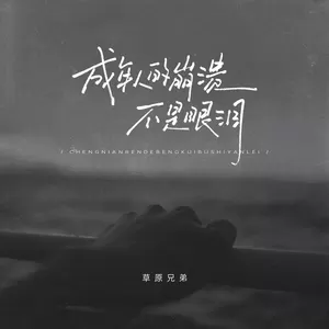 成年人的崩溃不是眼泪