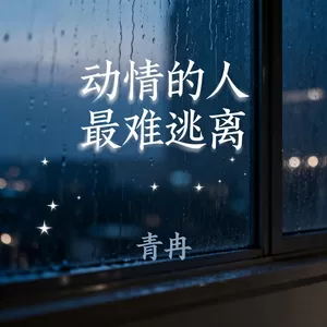 动情的人最难逃离