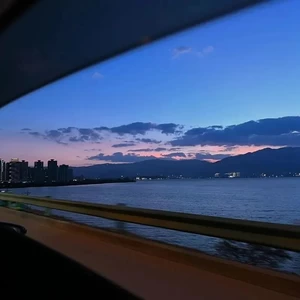 我的心太乱