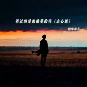 错过的爱像枯萎的花(走心版)