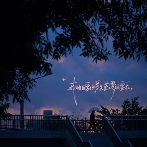 够爱(0.8降调版)