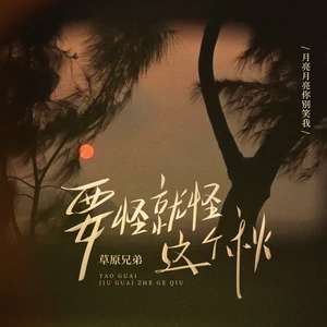 要怪就怪这个秋(DJ阿尼版)