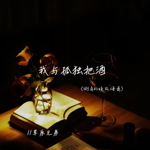 我与孤独把酒(街角的晚风语录版)