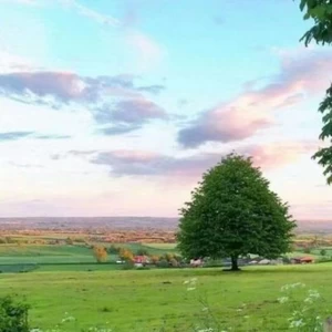 如果爱下去(新版)