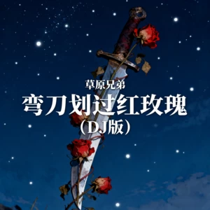 弯刀划过红玫瑰(DJ版)