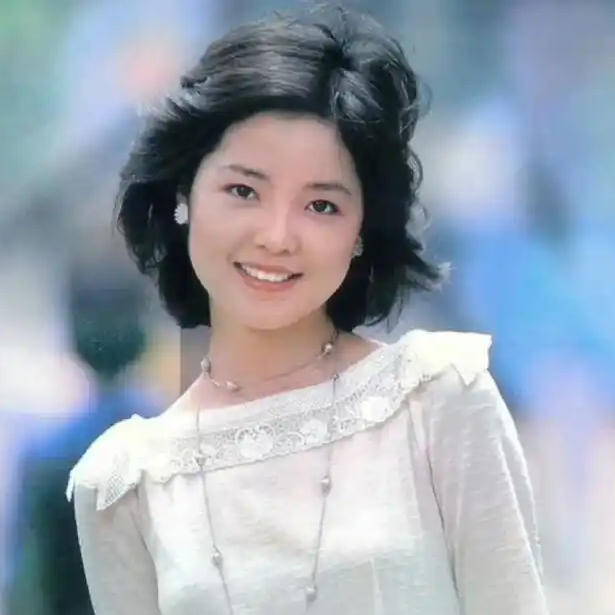 【邓丽君合集】精选邓丽君265首经典无损歌曲资源打包合集 [WAV+8.9GB]