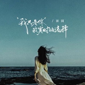 我只是你寂寞时的选择