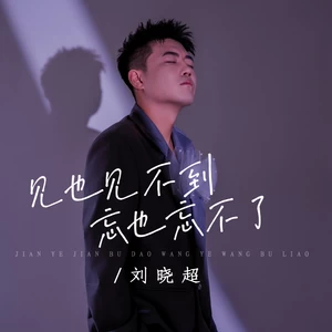 见也见不到忘也忘不了(DJ默涵版)