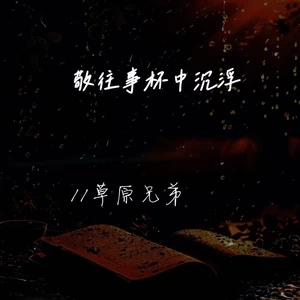 敬往事杯中沉浮(战胜自己感悟语录版)