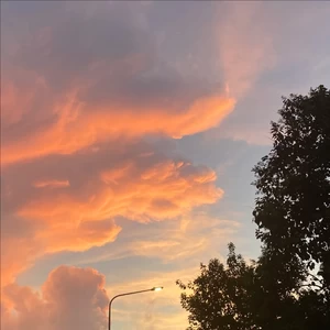 明天你是否依然爱我