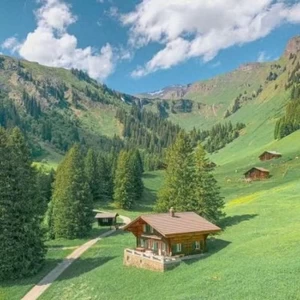 下一个天亮(新版)