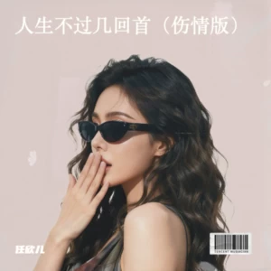 人生不过几回首（伤情版）