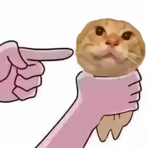 大东北我的家乡（福音版）