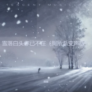 雪落白头你已不在（厕所渐变声版）