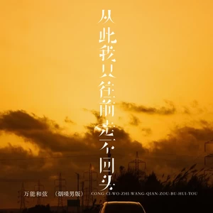 从此我只往前走不回头(烟嗓男版)