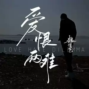 爱恨两难(DJ豪大大版)