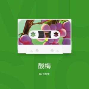 大东北是我的家乡(带派版)