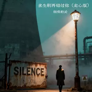 来生别再错过你(走心版)