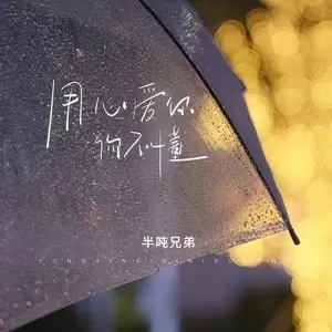 用心爱你你不懂(升调版)