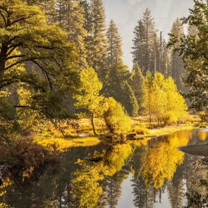 像梦一样自由（像天空一样坚强）