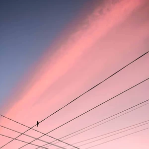 看不见的伤疤最疼