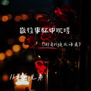 敬往事杯中沉浮(街角的晚风语录版)