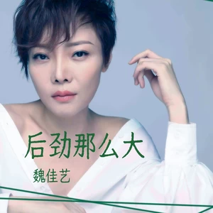 后劲那么大（DJ小浣熊版）(Remix)