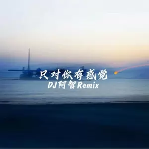 只对你有感觉(DJ阿智Remix)
