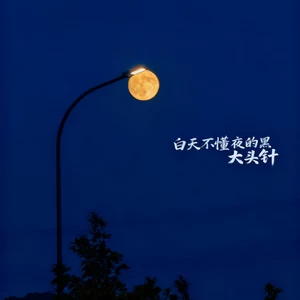 白天不懂夜的黑（你永远不懂我伤悲）