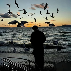 精卫（DJ超燃版）