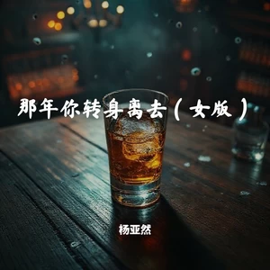 那年你转身离去（女版）
