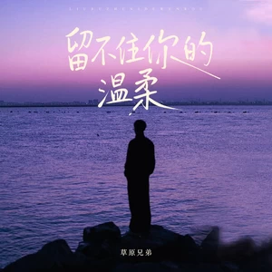 留不住你的温柔(DJ版)