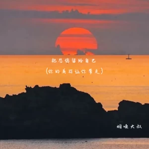 把悲伤留给自己(你的美丽让你带走)