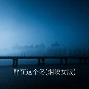 醉在这个冬(烟嗓女版)