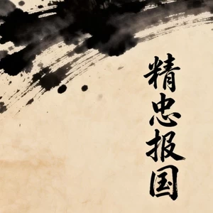 精忠报国(停顿DJ版)