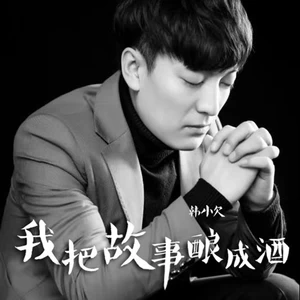 我把故事酿成酒(苦情版)